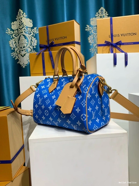 Affordable Vuitton 25 SPEEDY Louis 0810